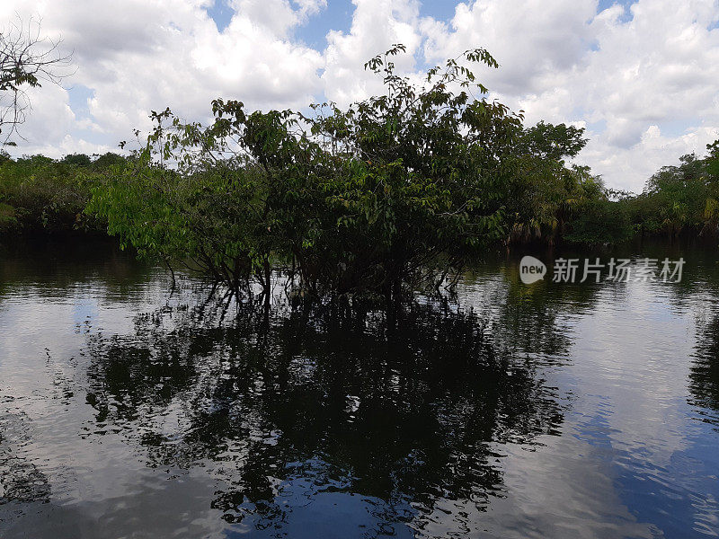 亚马逊地区- TAPAJOS - PARA